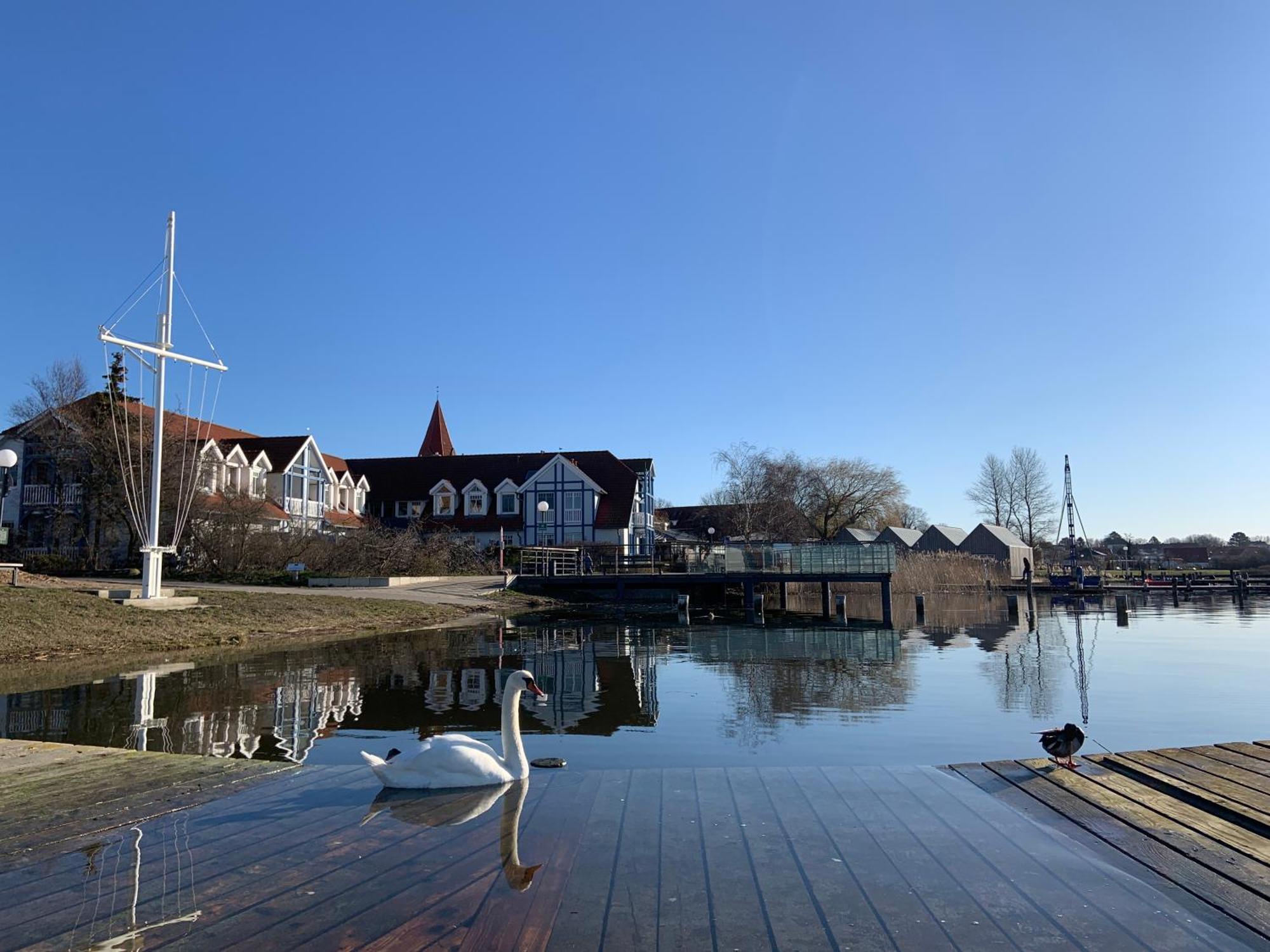 Fewo 27 Strandnahe Ferienwohnung Marlyn Rerik Exterior foto